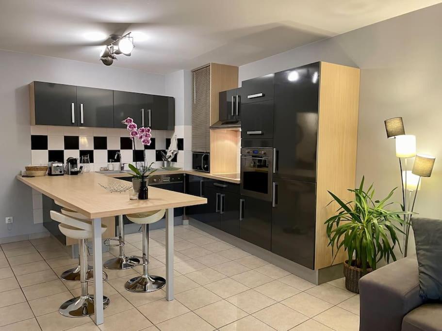 L'Ideal Cosy-Wifi-Netflix Et Garage Vienne  Buitenkant foto